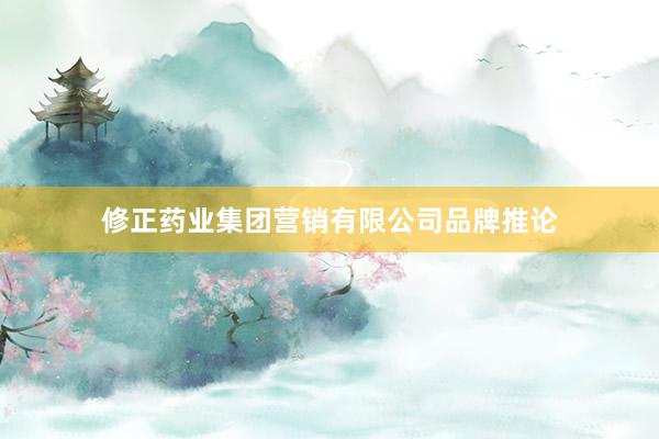 修正药业集团营销有限公司品牌推论